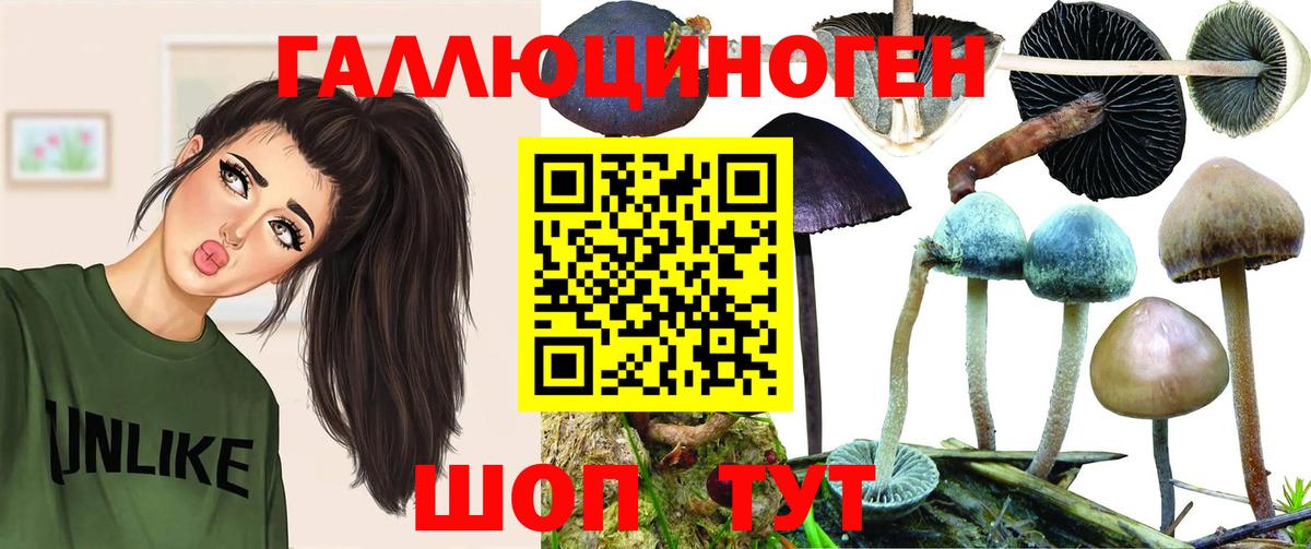 наркошоп  Вход с VPN  Кудымкар  Галлюциногенные грибы мухоморы 